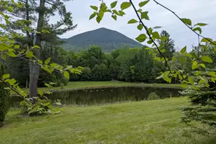 196 Dundee Rd, Jackson, NH 03846 - Photo 5