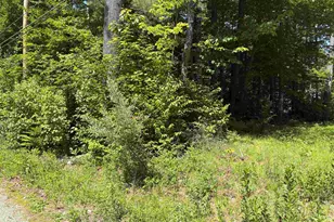 Lot 608 Rabbit Path, Hillsboro, NH 03244 - Photo 1
