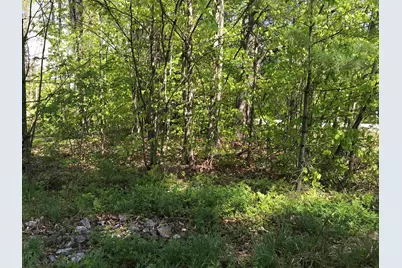 420-11 Route 9 Highway #420-11, Stoddard, NH 03464 - Photo 7