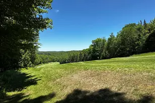 78 Greensward Dr, Grantham, NH 03753 - Photo 11