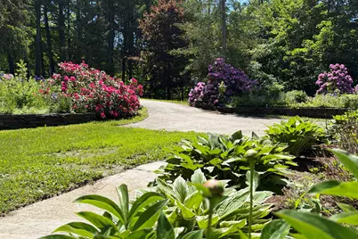 2206 Elmore Mountain Road, Elmore, VT 05661 - Photo 3