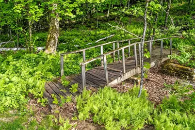 65 Lower Taylor Hill Road, Winhall, VT 05340 - Photo 17