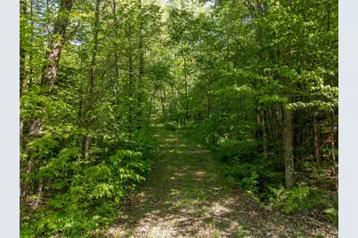 Lot 22 Rabbit Path Road, Landaff, NH 03585 - Photo 13