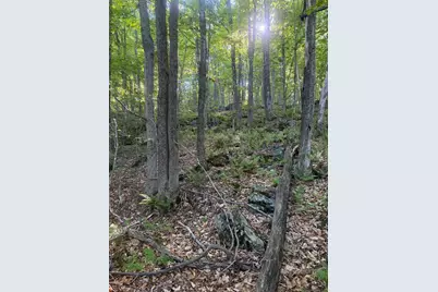 Scattered Timber Road, Wilmington, VT 05363 - Photo 13