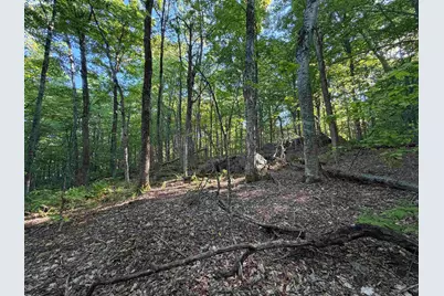 Scattered Timber Road, Wilmington, VT 05363 - Photo 5