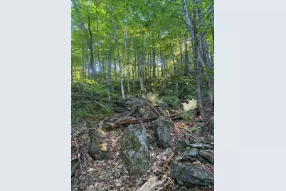 Scattered Timber Road, Wilmington, VT 05363 - Photo 19