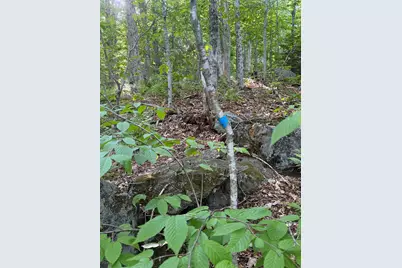 Scattered Timber Road, Wilmington, VT 05363 - Photo 15