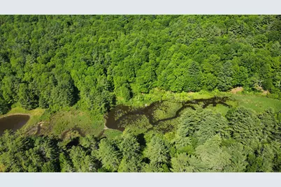00 Bull Frog Hollow Road, Wells, VT 05774 - Photo 25