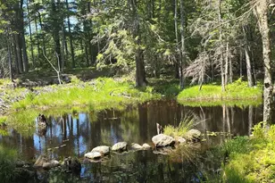 Baine Rd, Alstead, NH 03602 - Photo 1