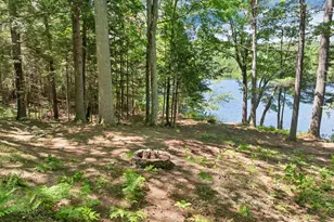 309 Stocker Pond Rd, Grantham, NH 03753 - Photo 3