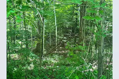 00 Mountain Road #Map 25, Block A, Lot 2.43 Lot Size 2.11, Chesterfield, NH 03466 - Photo 11