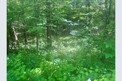 00 Mountain Road #Map 25, Block A, Lot 2.43 Lot Size 2.11, Chesterfield, NH 03466 - Photo 13