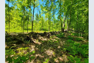 310 Sky Farm Lane, Barnet, VT 05821 - Photo 41