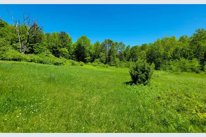 310 Sky Farm Lane, Barnet, VT 05821 - Photo 33