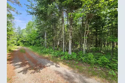 00 Boise Cascade Road, Dummer, NH 03579 - Photo 7