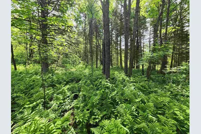 00 Boise Cascade Road, Dummer, NH 03579 - Photo 3