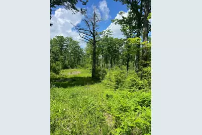 00 Corno Road #Lot 7, Canaan, NH 03741 - Photo 7
