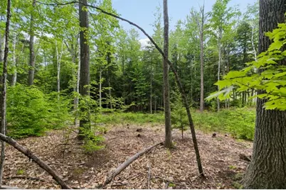 00 Corno Road and Canaan Street #All 8 Lots, Canaan, NH 03741 - Photo 5