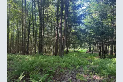 0 Roaring Brook Road, Barton, VT 05822 - Photo 11