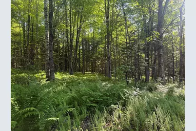 0 Roaring Brook Road, Barton, VT 05822 - Photo 15