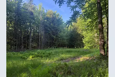 0 Roaring Brook Road, Barton, VT 05822 - Photo 17