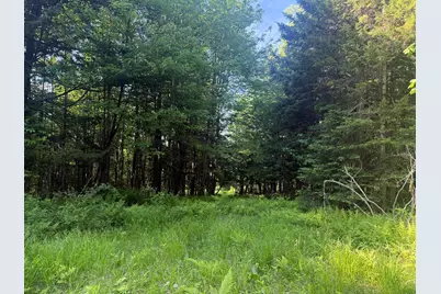 0 Roaring Brook Road, Barton, VT 05822 - Photo 13