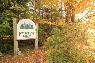 12 Forest Rim Way #E2, Waterville Valley, NH 03215 - Photo 29