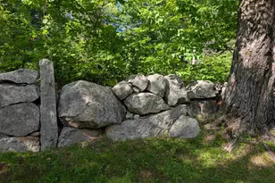 163 Maple Ridge Rd, Sandwich, NH 03259 - Photo 15