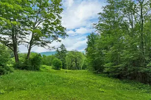 163 Maple Ridge Rd, Sandwich, NH 03259 - Photo 5