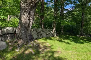 163 Maple Ridge Rd, Sandwich, NH 03259 - Photo 13