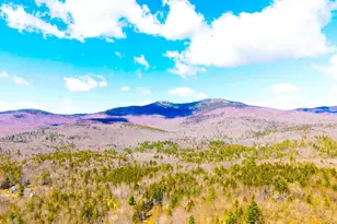 Tm 407 L 35 Shem Valley Rd, Alexandria, NH 03222 - Photo 1