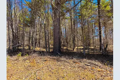 Tm 407 L 35 Shem Valley Road, Alexandria, NH 03222 - Photo 25