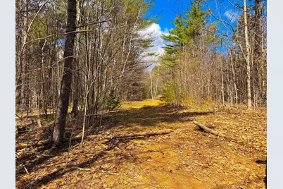 Tm 407 L 35 Shem Valley Road, Alexandria, NH 03222 - Photo 3