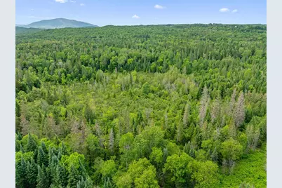 354 Gray Road, Columbia, NH 03576 - Photo 11