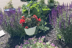 196 E Main St, Conway, NH 03818 - Photo 37