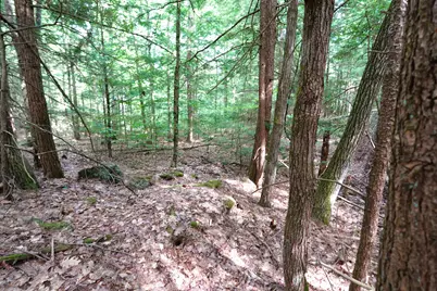 00 Forrest Drive, Marlborough, NH 03455 - Photo 7