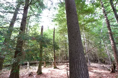 00 Forrest Drive, Marlborough, NH 03455 - Photo 15