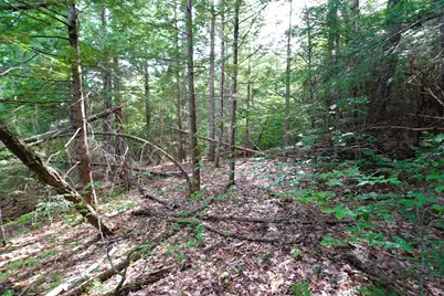 00 Forrest Drive, Marlborough, NH 03455 - Photo 17