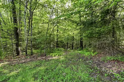 224 King Road, Alexandria, NH 03222 - Photo 31