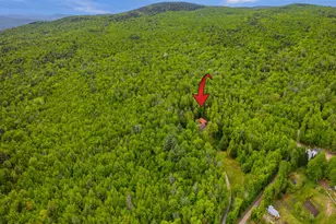 269 Knowles Hill Rd, Alexandria, NH 03222 - Photo 51