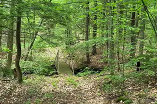 269 Knowles Hill Rd, Alexandria, NH 03222 - Photo 53