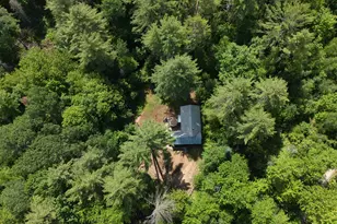 29 Gray Fox Rd, Effingham, NH 03882 - Photo 31
