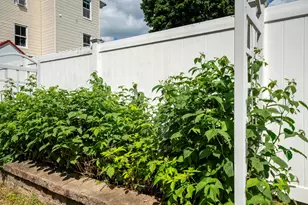 75 McDuffie St, Manchester, NH 03102 - Photo 53