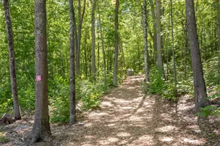 616 Scenic Rd, Laconia, NH 03246 - Photo 53