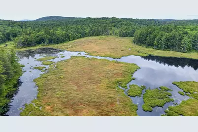 185 North Road, Deering, NH 03244 - Photo 11