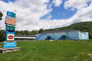 58 W Ledge Rd, Bartlett, NH 03838 - Photo 21