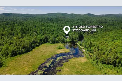216 Old Forest Road, Stoddard, NH 03464 - Photo 3
