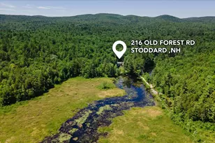 216 Old Forest Rd, Stoddard, NH 03464 - Photo 3