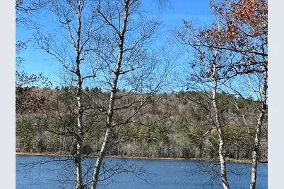 215 Stocker Pond Road, Grantham, NH 03753 - Photo 43