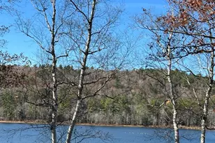 215 Stocker Pond Rd, Grantham, NH 03753 - Photo 43
